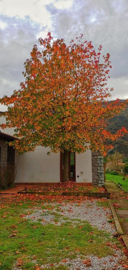 La Calma De Llanes Villa Eksteriør bilde